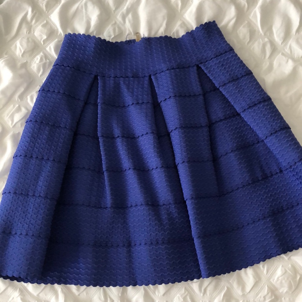 Pleaded Skirt